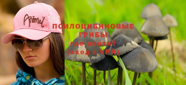 соль ск Осташков