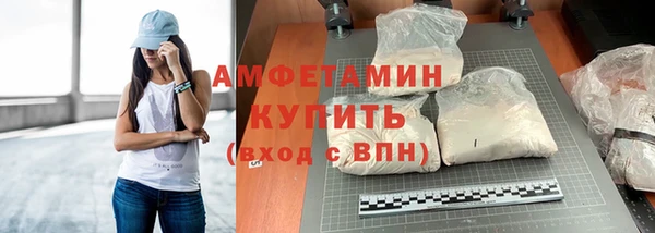ГАЛЛЮЦИНОГЕННЫЕ ГРИБЫ Вяземский