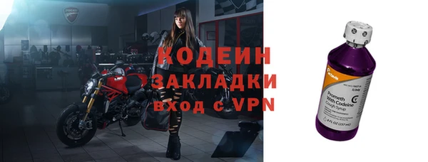 прущие грибы Белокуриха